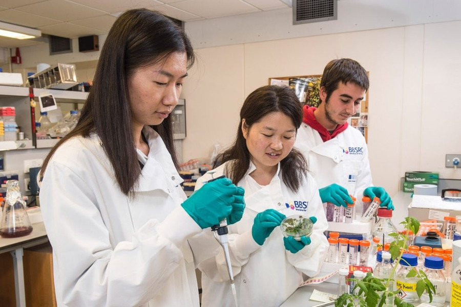 Trung Quốc mở rộng đào tạo tiến sĩ