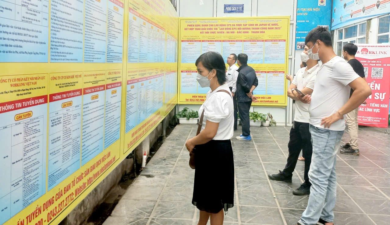 1,6 triệu thanh niên từ 15 - 24 tuổi chưa đi làm, chưa học nghề trong quý III/2026